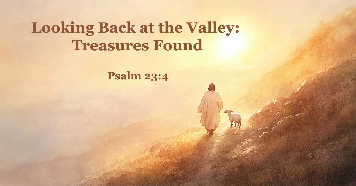 Looking Back at the Valley: Treasures Found